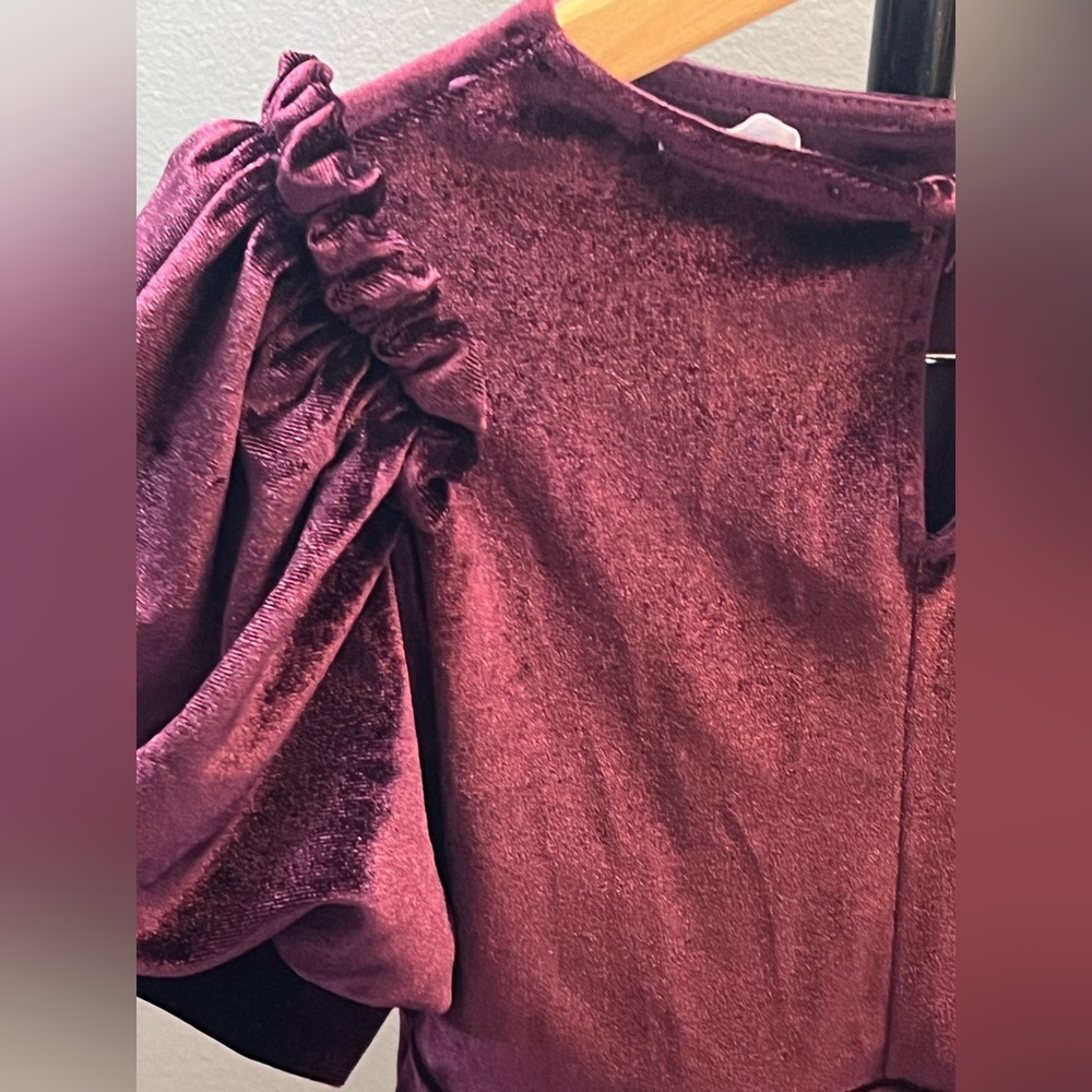 Zara Girls Velvet Ruffle Puff Sleeve Elegant Dress - Burgundy - Picture 10 of 11